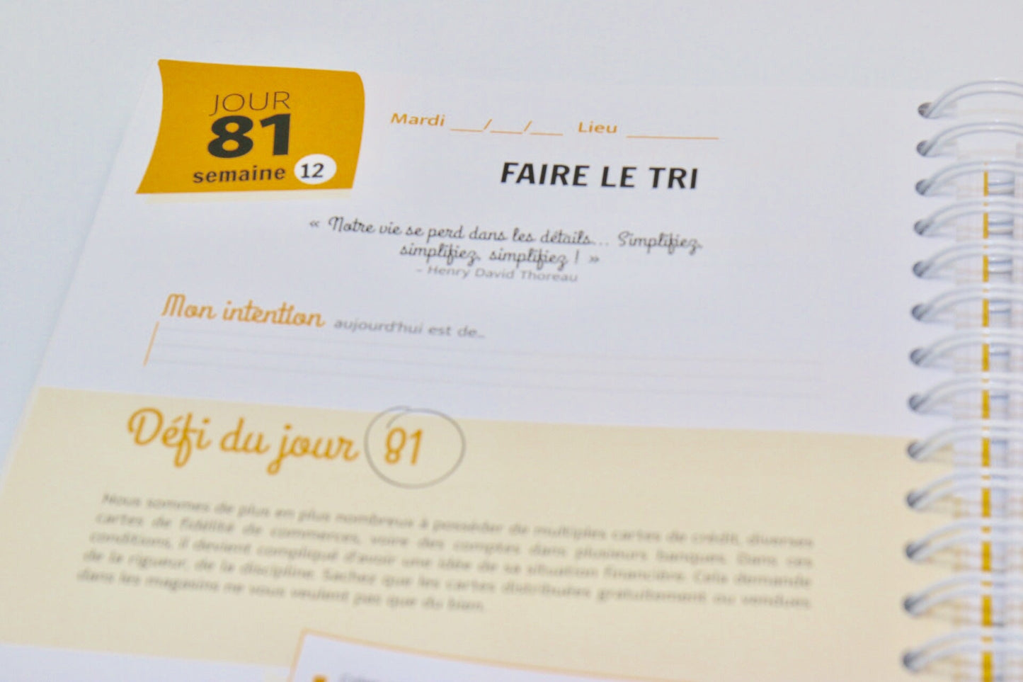 PACK Cahier d'exercices du Défi des 100 jours pour LIBÉRER SA RELATION À L'ARGENT  + Carnet de notes