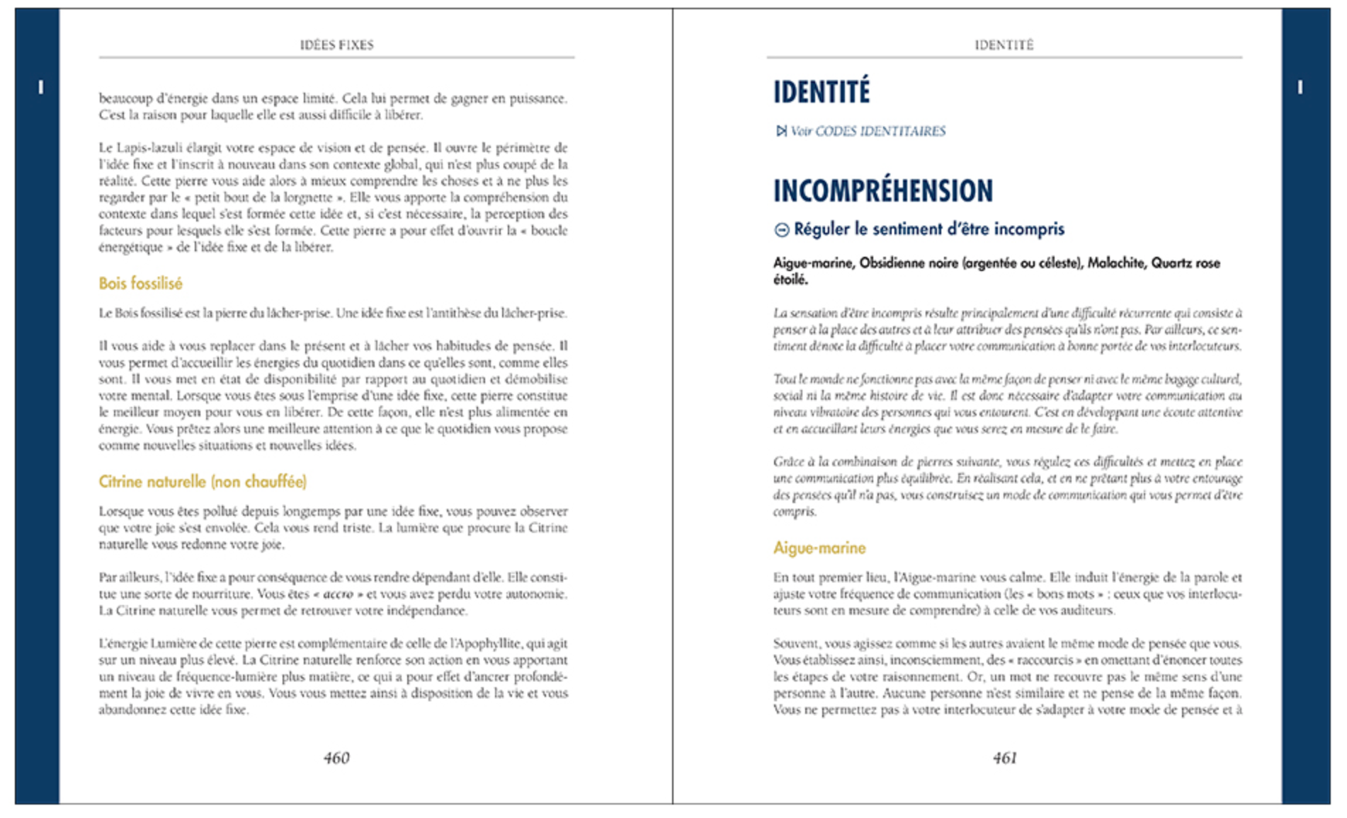 Ma bible des pierres et cristaux - Wydiane Khaoua et Daniel Briez – La