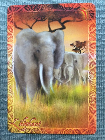 PACK "L'Oracle du peuple animal" et le livre "Réveillez le chaman qui est en vous"